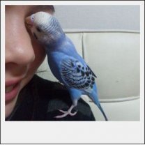 10ce86cf56db141677991c51f98b4153