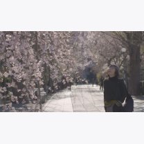 403b2cc9c73a5cc53f4f99010db60ba4