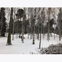 931eab868be3cff23a3be8e0333d9db5