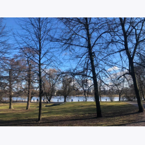 64c277696ec535028fce6b8f79216939