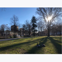 7ce1f30a31b8ef744ef0d36829738736