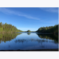 9d08e8b370b0a65ce32aec06006404b9