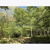 82abc98f0ffdc855d91287d827c1ef1f