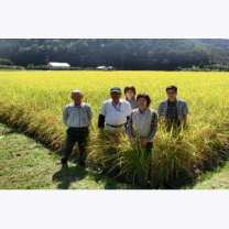 050df706d16778848de4c90e36a86535