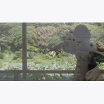 a99833b06edae8bffe047f08fac121ae