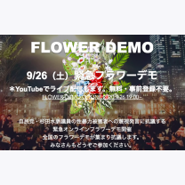 b42e286b3682e167832bfaa4d61c85ea