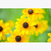 f0ab1883427f94c408d3af1228f7f5d5