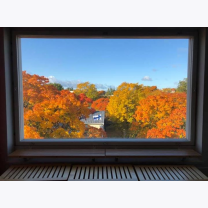 cb686b04e1e4342b1d8b78e772ba2474