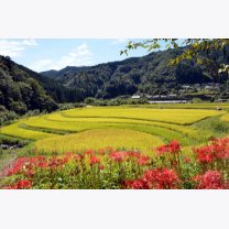 36936347d979dd492b240c404312667f