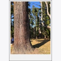 72285550ec949367f40f0136e2219fa8