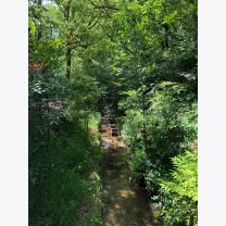 b91253570eaa916b1a381b52b018ec12