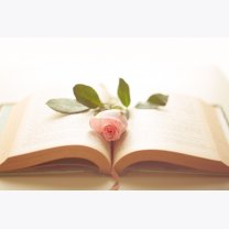 78fd67ac8bfadb0c23077b2ccd0250a0