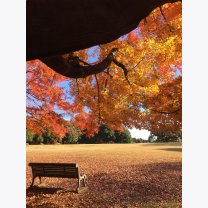 09982bbd1da1c34a21d2431b7fc24f37