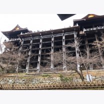 db144f8407620dc5e3ea0fb115ed2311