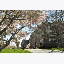 6a1e78084e6e62b58158776b2fbde462