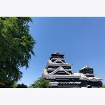 2b1dd33b5ac40ad317c9882de6db7779