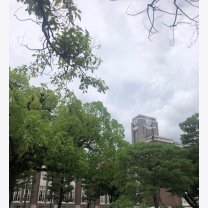 77811236029257ceab15217955002768