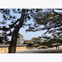 0bea44db40b8d3af9be324706775f732