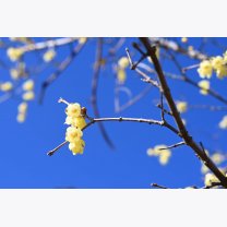 921ea3850b563f7ccf24549c414fd236