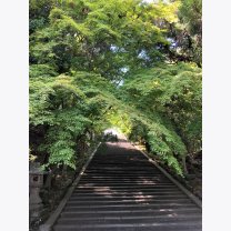 3cdd84e82b9cee34321c47d4c7a3d37f