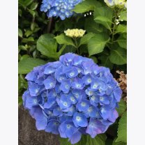 53c1e66aaf0543748ebb03a4adaa60b6