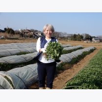 82592f740bc8c4fcd451963e1ee2a2b2