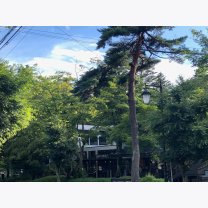 5191613a3b16c1b560cf8a196a15ada7