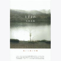 7a594683a2989a7f898c7670ee3962fd