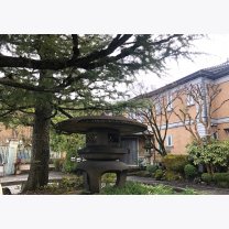 126b4d33e219ea29959b8d11ec773f62