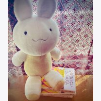 6e1d31ae031fdcb1e55cf51f532b6cc3