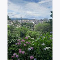 7cce51ba7c24a6e30413e14bce60092f