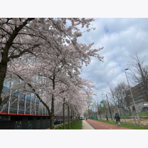 74e6638fbd40cd625e27b2bd3b2f3fcb