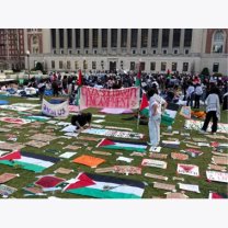 ef0825fe6ccfcb9fa688ab43b132f6d4