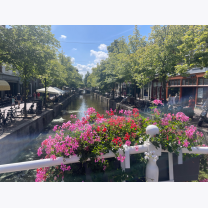 230e532e1392d77f703e0489491e25a6