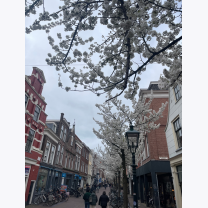 1b0a0cf3d66c6c2ea6230346de3643ec