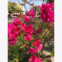 fbd00a1a9ffbf937894ce73a86eb6668