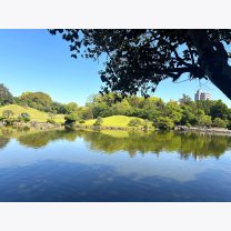 7d74becb67ad18066a34b04bae27d9de