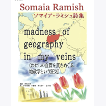 a02938d9e204bfd473e27f7ff23ce215