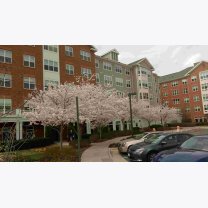 2930a201137d77beb9eda74fdf764cdc