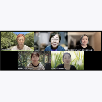 d5689e50657453eba637e5e33799f259