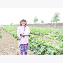 198ad8134a9ee57bf56c8ce3a462339a