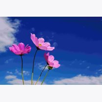 f92445ccc3ad4aa9d0d536f5b91857dd