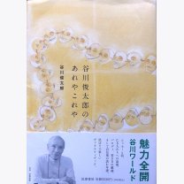 80dd0338c1e0a4dd83ddeb80e4d85210