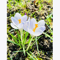 cfcf06fe867b4b48a5bfe9160c95b065